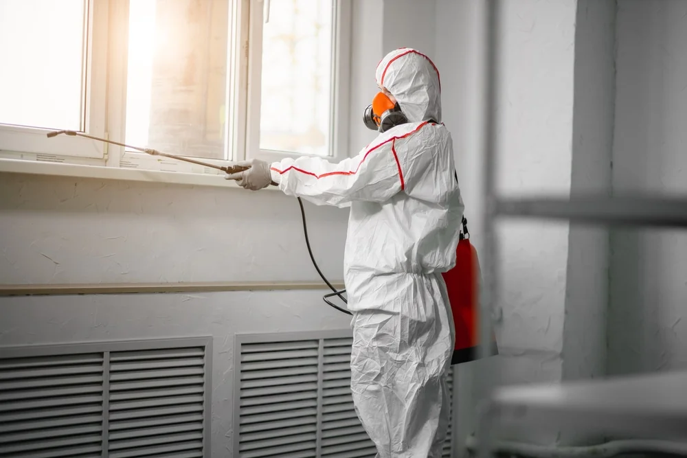 Professional mold remediation services in Baxter, IA
